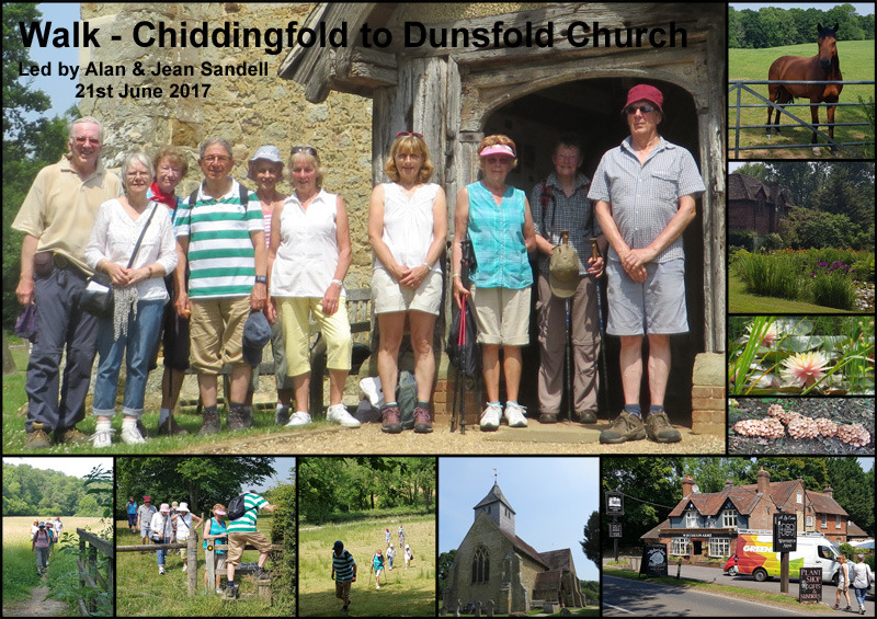 Walk - Chiddingfold to Dunsfold Church - 21st June 2017